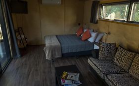 Jackson'S Retreat Alpine Holiday Park